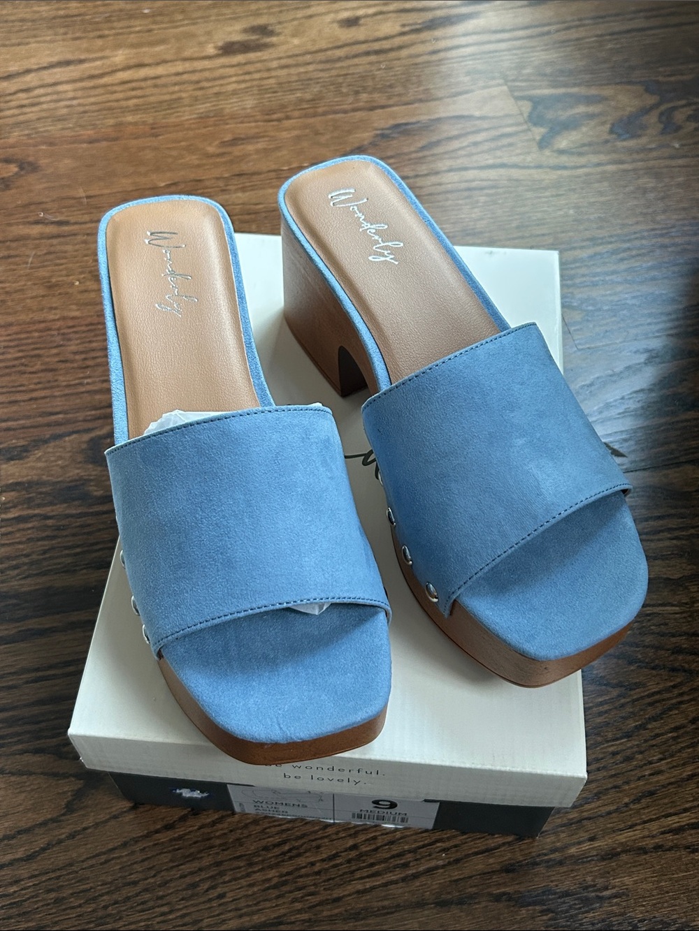 Wonderly Powder Blue Suede Platform Slide Mules